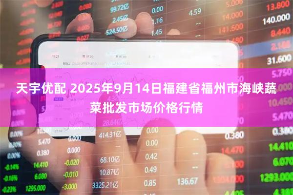 天宇优配 2025年9月14日福建省福州市海峡蔬菜批发市场价格行情