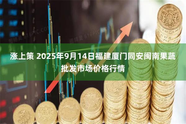 涨上策 2025年9月14日福建厦门同安闽南果蔬批发市场价格行情