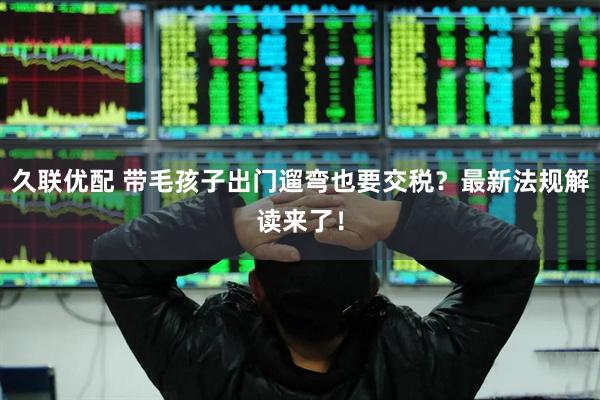 久联优配 带毛孩子出门遛弯也要交税？最新法规解读来了！