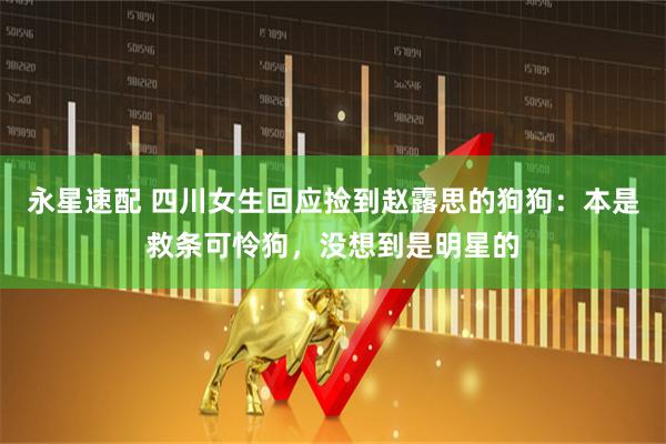 永星速配 四川女生回应捡到赵露思的狗狗：本是救条可怜狗，没想到是明星的