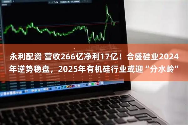 永利配资 营收266亿净利17亿！合盛硅业2024年逆势稳盘，2025年有机硅行业或迎“分水岭”