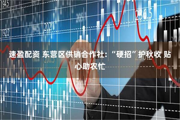 速盈配资 东营区供销合作社: “硬招”护秋收 贴心助农忙